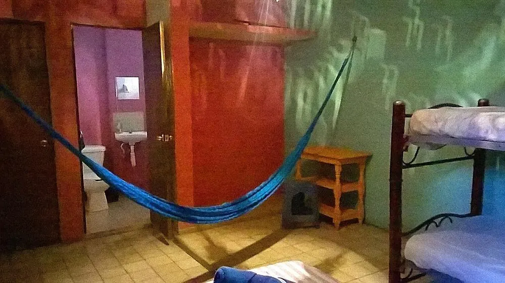 Hotel Mayan Hostel Mexico